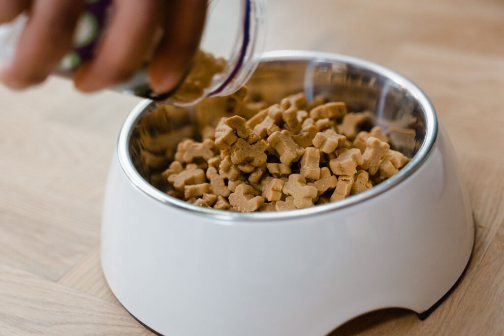 dog gut health supplements added to dog food bowl