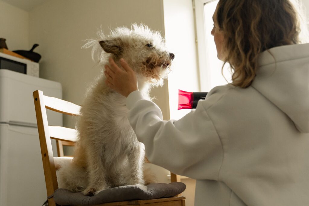 why does my dog panic at the vet home handling practice preparation
