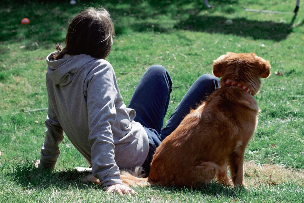 senior dog care dog parent sitting together outdoors